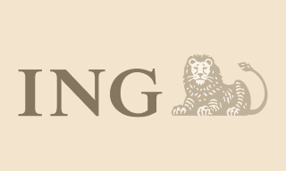 logo-ing